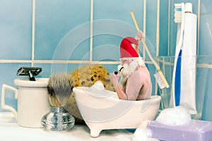 Gnome taking a bath