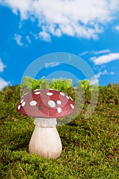 Gnome toadstool