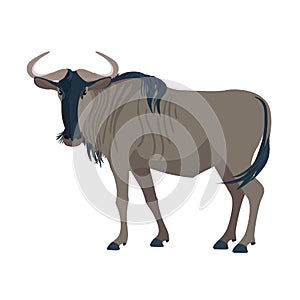 Gnu. African wild mammal . Wild animal in Africa. Vector