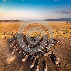 gnu antelopes, AI generated