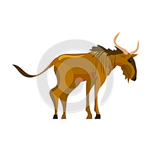 Gnu Wildebeest animal african, wildlife creature. Vector illustration cartoon style isolated