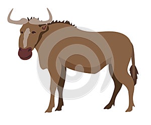 Gnu Wildebeest isolated on a white background. African wildlife animal. Vector Illustration