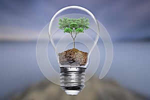 Go green concept tree bulb energy