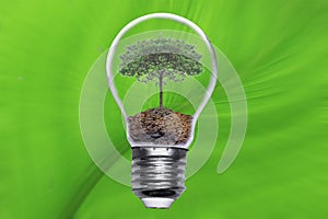 Go green concept tree bulb energy
