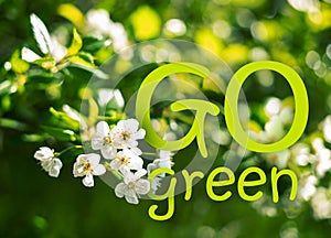 Go Green - slogan with spring flowers