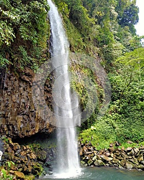 Go green, waterfall, nature
