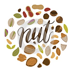 Go nuts lettering with nuts around