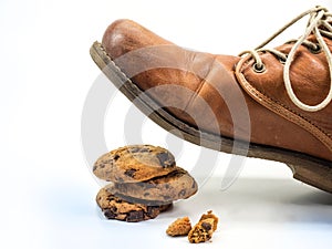 Go someone on the biscuit