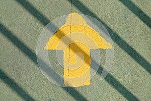 Go straight yellow arrow on asphalt street