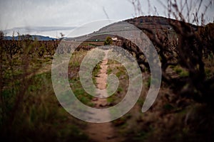 Go to the Mount Brouilly