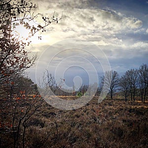 Hush hush there is no-one