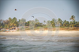 Goa is a state in the south-west of India