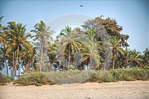 Goa is a state in the south-west of India