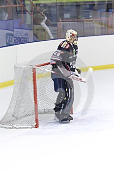 the goalie