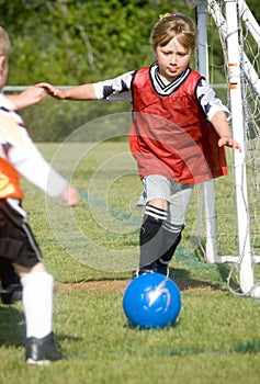 Goalie In Action