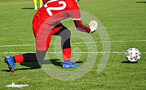 Goalkeeper with a ball on the soccer field