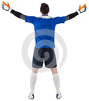 Goalkeeper in blue ready to save