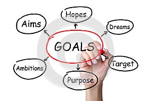 Goals Concept
