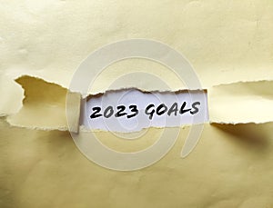 2023 GOALS message written under torn brown paper photo