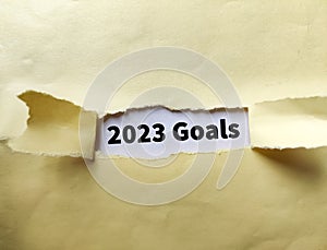 2023 GOALS message written under torn brown paper photo
