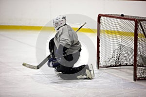 Goaltender