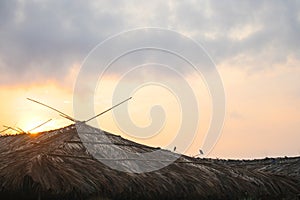 Goan Beach huts at sunrise