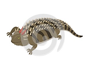 Goanna lizard reptile isolated vector illustration.