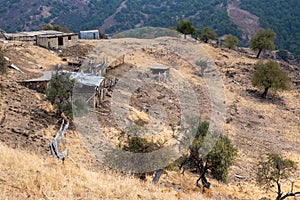 Goat agriculture farm outdoors in the hill. Abandoned place