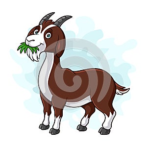 goat cartoon eating grass isolated on white background