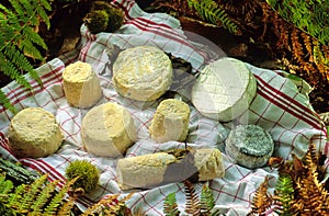 Goat cheese