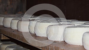 Goat cheese corsican