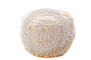 Goat cheese crottin de chavignol