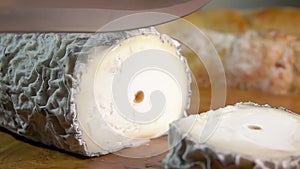 Goat cheese with gray mold is cut with a knife