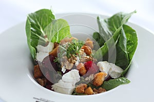 Goat cheese and Roman salad