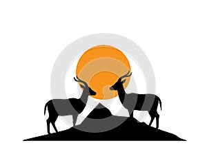 Goat couple silhouette on a hill on sunset, vector illustration