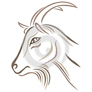 The goat face is drawn with rjhbxytdsv color with different lines in a flat style. Design suitable for animal logo, tattoos, decor