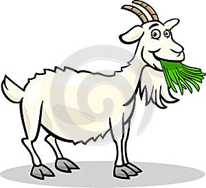 Goat farm animal cartoon illustration