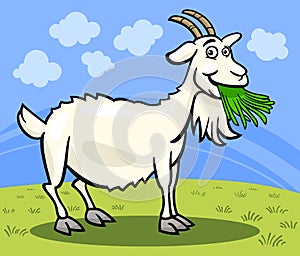 Goat farm animal cartoon illustration