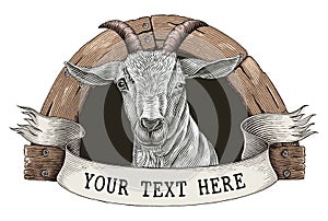 Goat farm logo hand draw vintage engraving style clip art isolated on white background