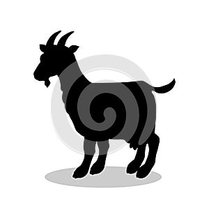 Goat farm mammal black silhouette animal