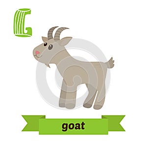 Goat. G letter. Cute children animal alphabet in vector. Funny c