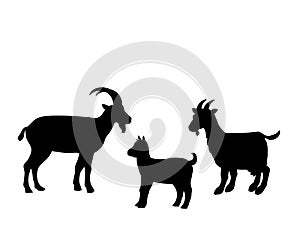 Goat goatling farm mammal black silhouette animal