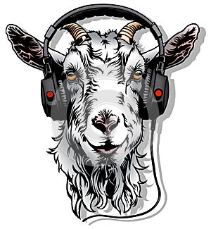 Goat with Headphones on his Head