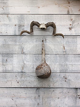 Goat horns - RAW format