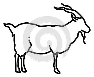 Goat icon. Long horn farm animal. Domestic fauna