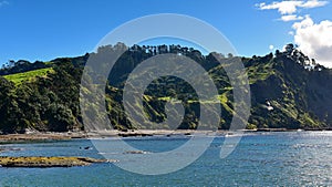 Goat Island Marine Reserve in New Zealand