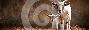 goat and its kid, symbolizing the sacrifice of Ismail (Ishmael) in Islamic tradition.