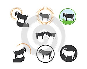 Goat Logo Template vector illustrtion