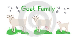 Goat male and female with cute little kid cartoon illustration isolated on white