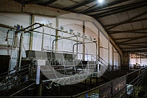 Goat milking equipment on farm